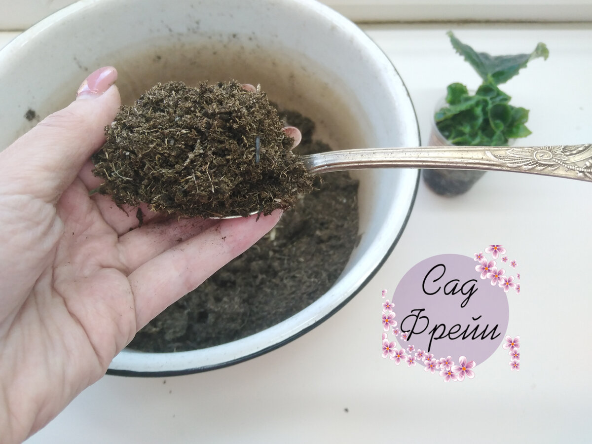 Я беру нейтрализованный верховой торф "Агробалт". Другого грунта у меня сейчас и нет :)