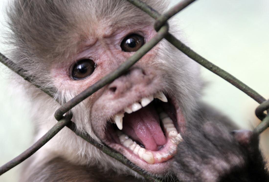 фото взято с сайта: fb.ru