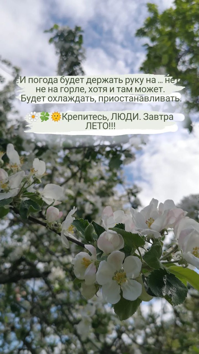 Завтра ЛЕТО!