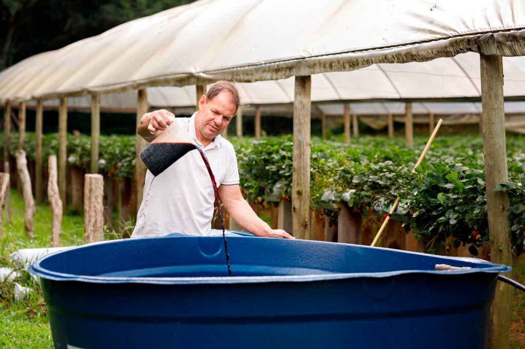 Выращиваем большой урожай. Нет нитратам