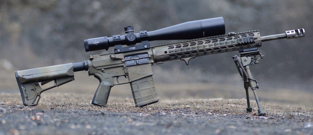 Remington R‑25 под патрон .308 Win с российским прицелом DH 7–28×56 