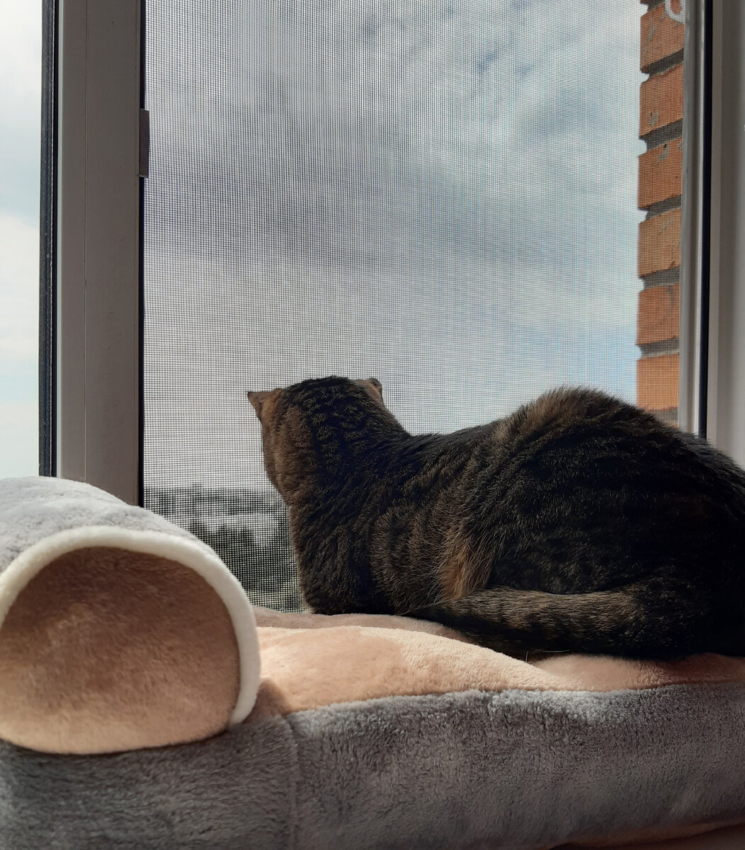 Фото автора.