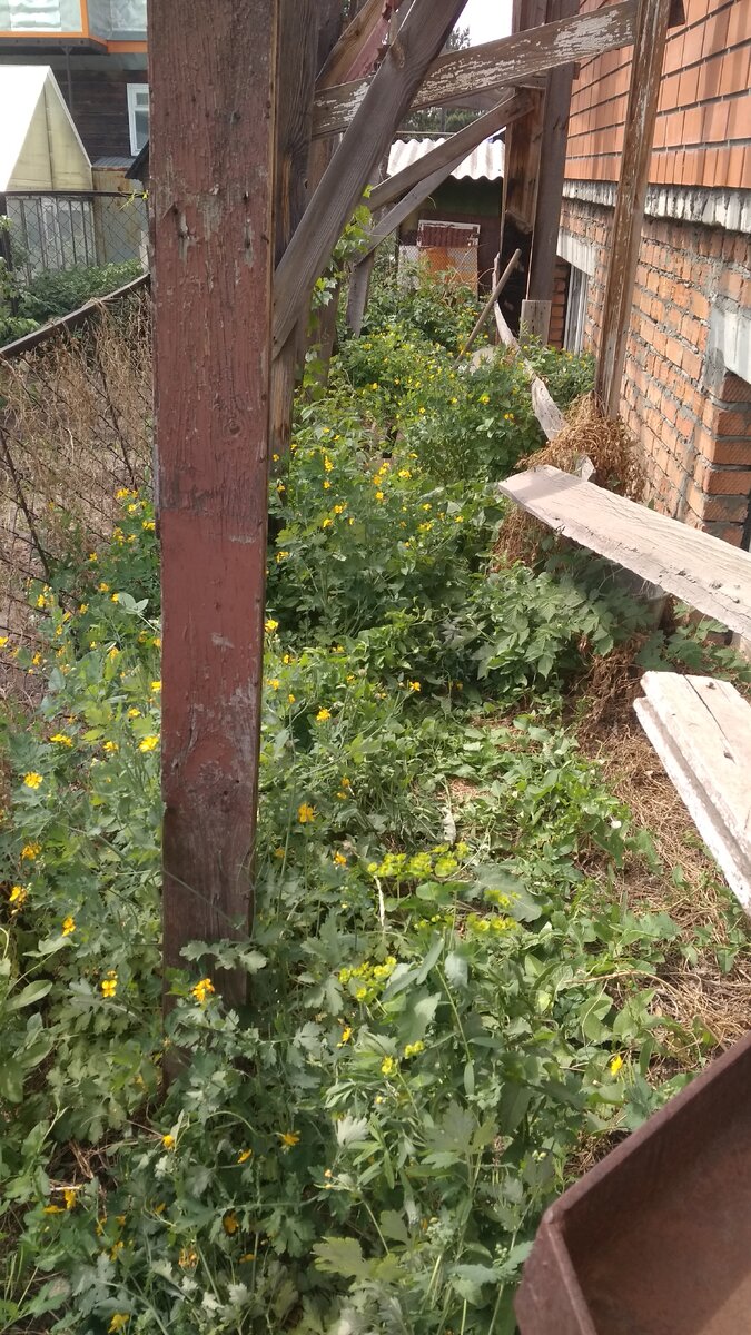 Фото из личного архива автора