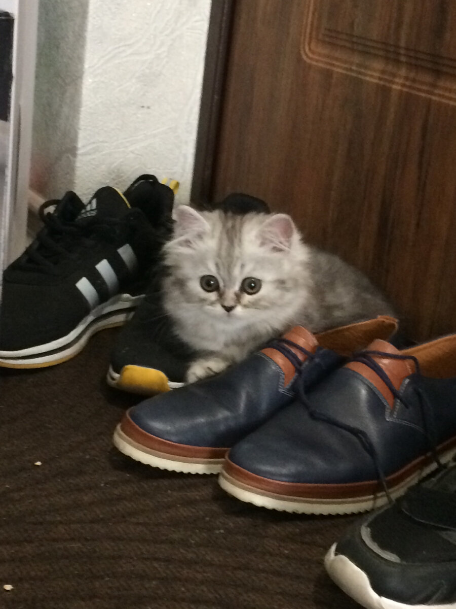 Она не в туалете