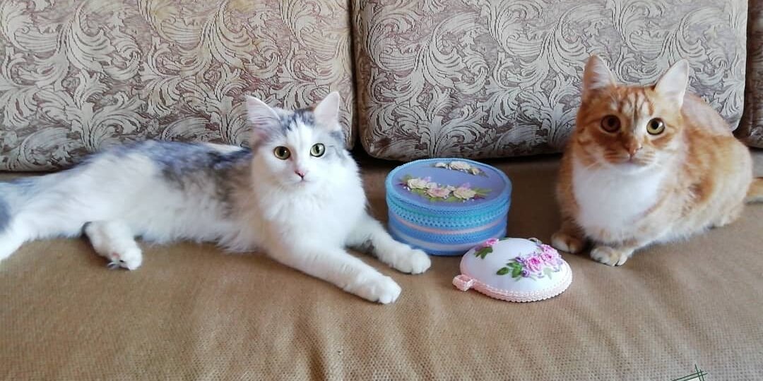 Как у нас появились Муся и Вася.