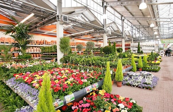 Фото из открытых источников. Гипермаркет. Отдел для любителей растений.