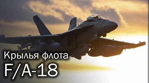 F/A-18 Hornet - шершень для авианосца