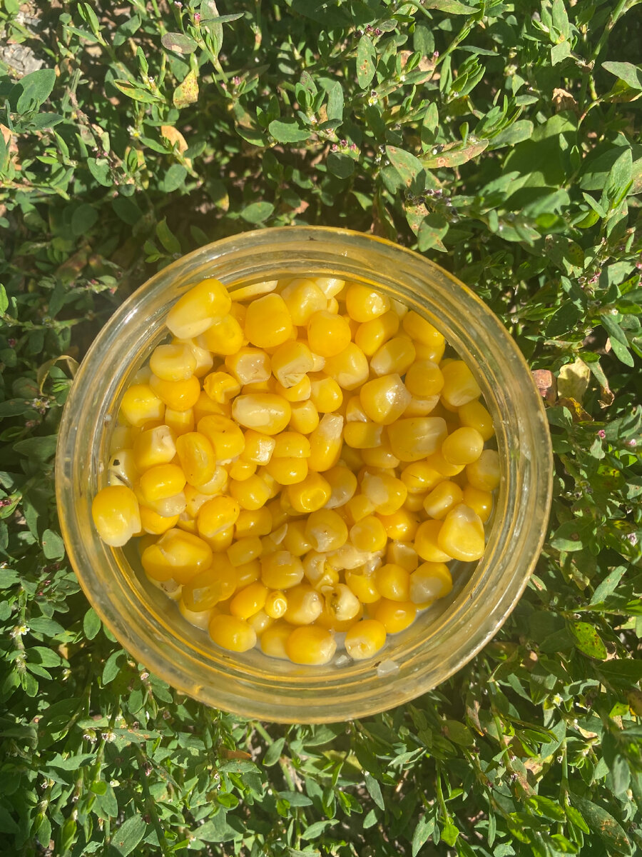 Кукуруза Bonduelle 