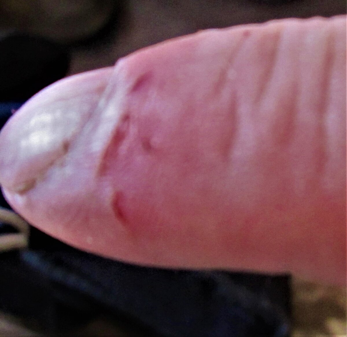 scale_1200