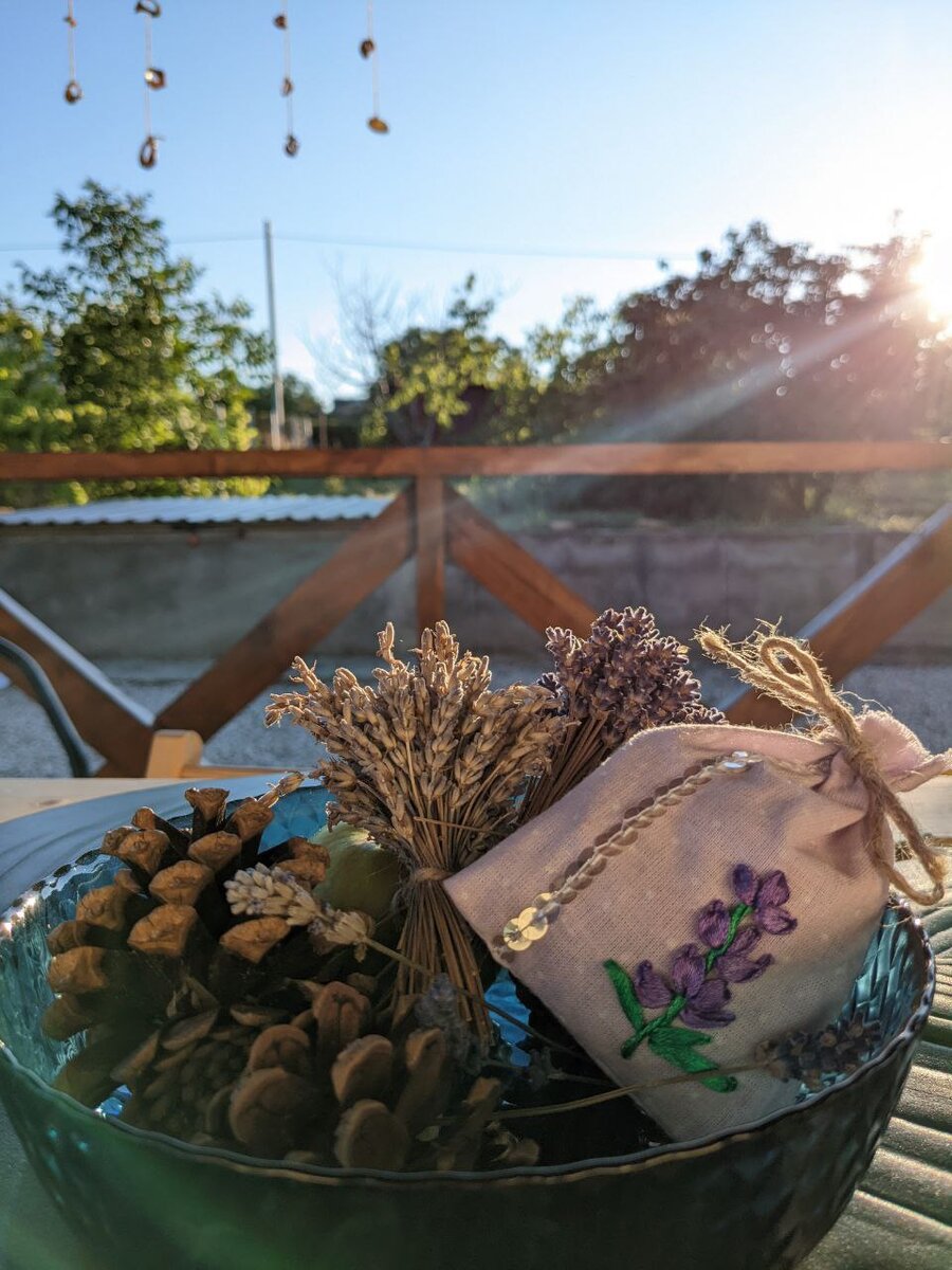 Шишки из крымского горного леса