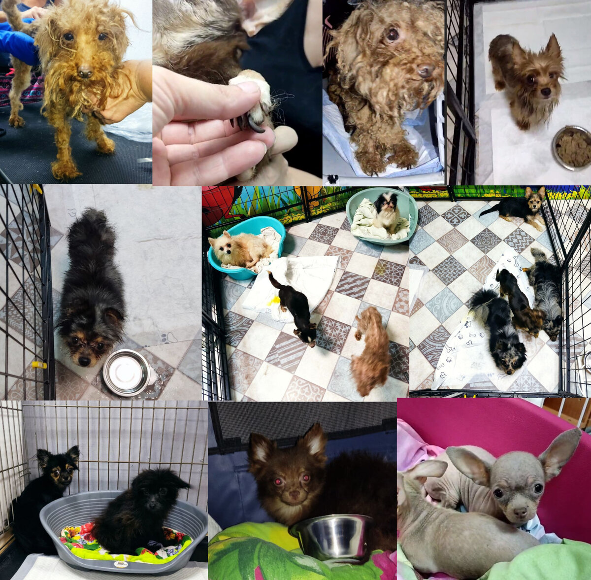  Заезд "Каширский дворик"