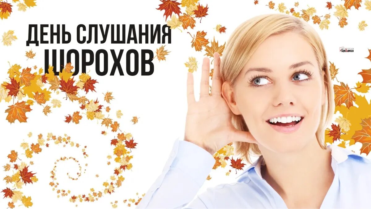 День слушания шорохов. Иллюстрация: «Курьер.Среда»