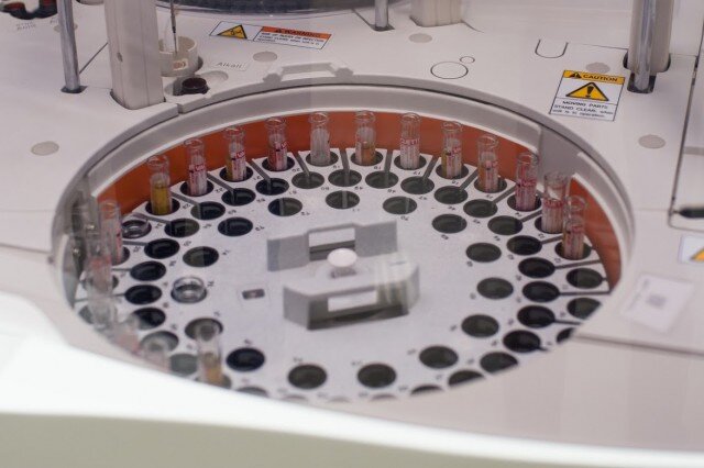   Фото из архива Калининград.Ru