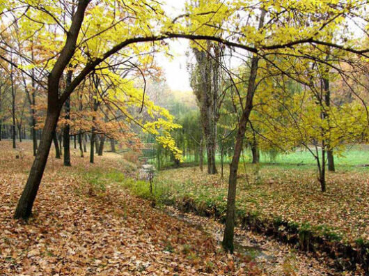    //фото: protaganrog.ru