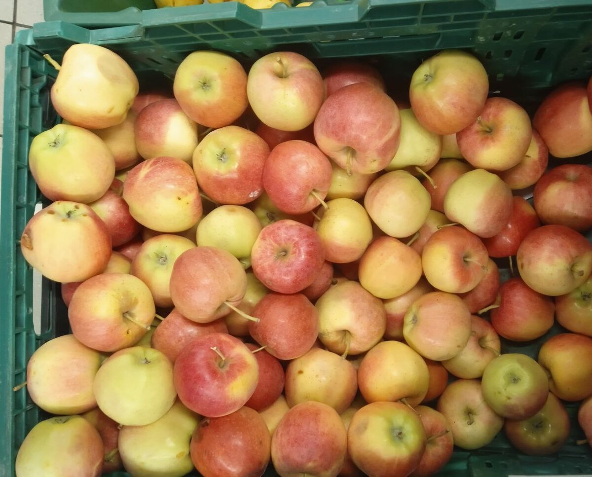 Как безошибочно выбрать самые вкусные яблоки в магазине или на рынке |  Ms.Чистота | Дзен
