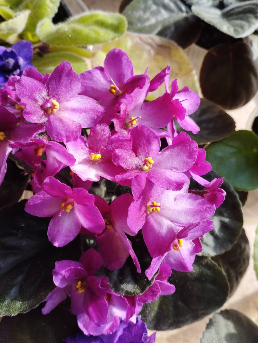 Фото автора. 