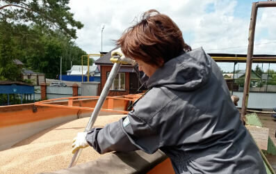    В Оренбуржье не допустили вывоза более 262 тонн зараженной пшеницы в Казахстан Кристина Просвиркина