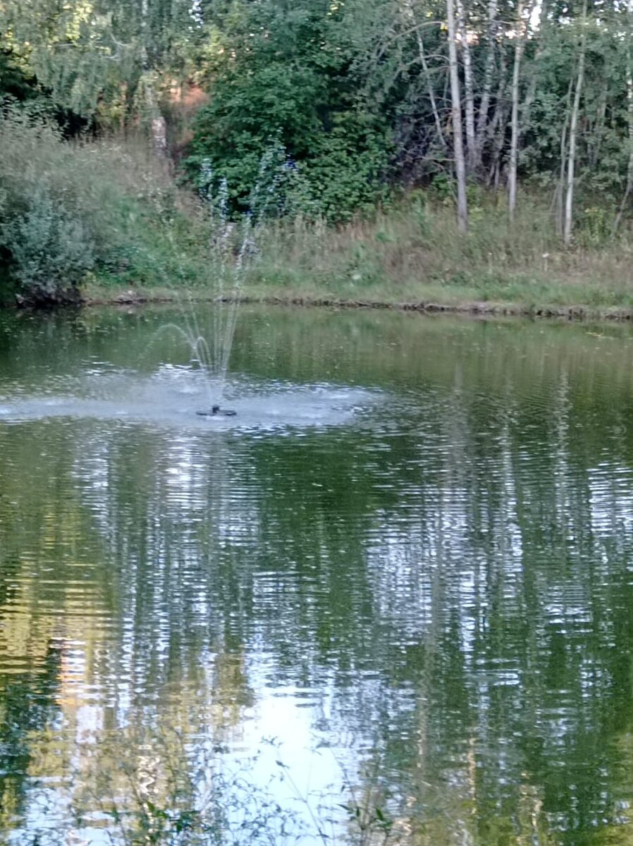 Место релаксации