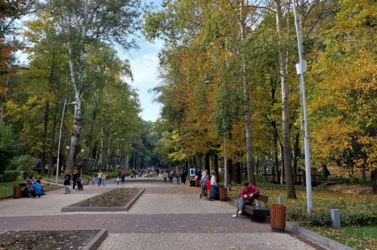    В Центральном парке Воронежа до зимы закроют стационарный туалет