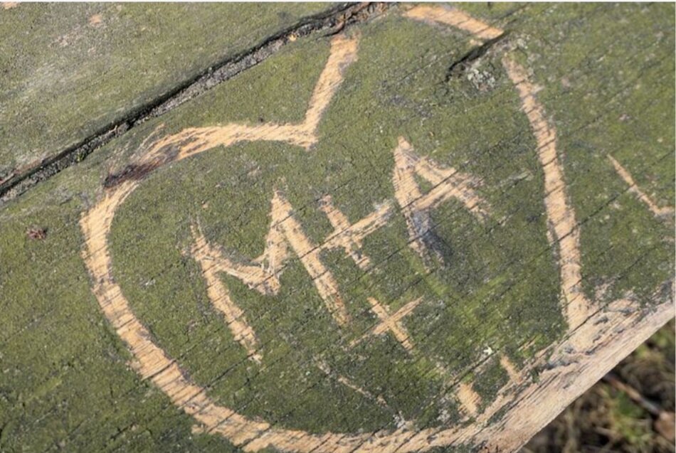 Фото из открытых источников