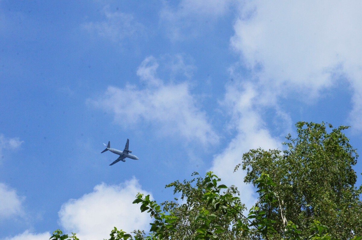    Фото: Анна Быкова / Вечерняя Москва