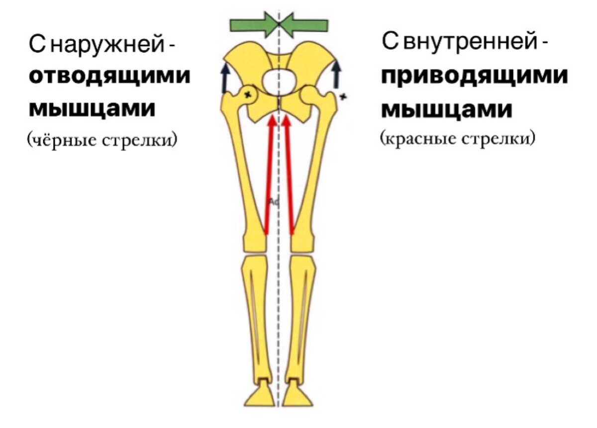 Перекос таза симптомы у женщин