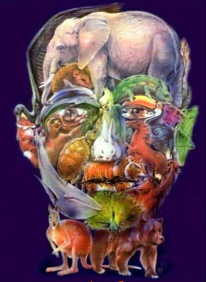 Тест на внимательность найти верблюда где верблюд. Изображение из интернета в свободном доступе 