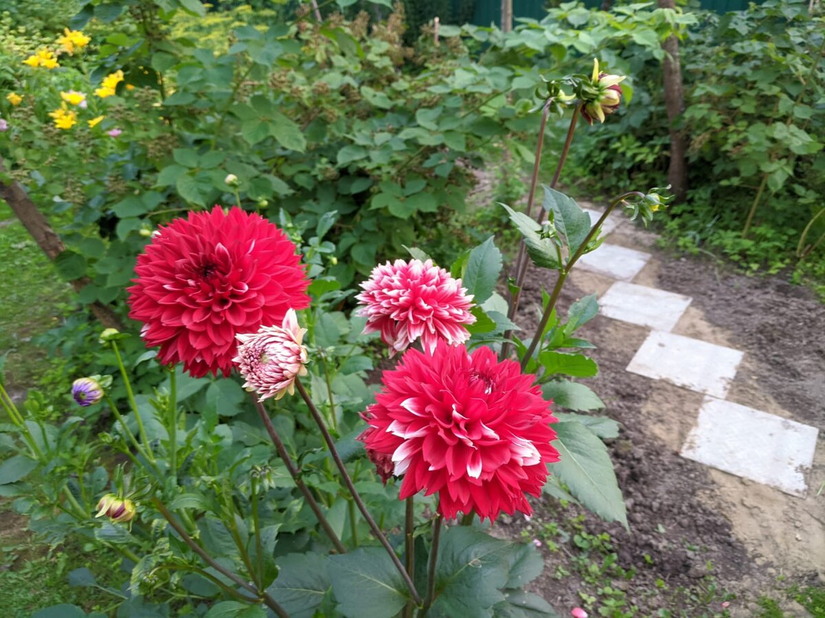 Плитка обозначает дорожку