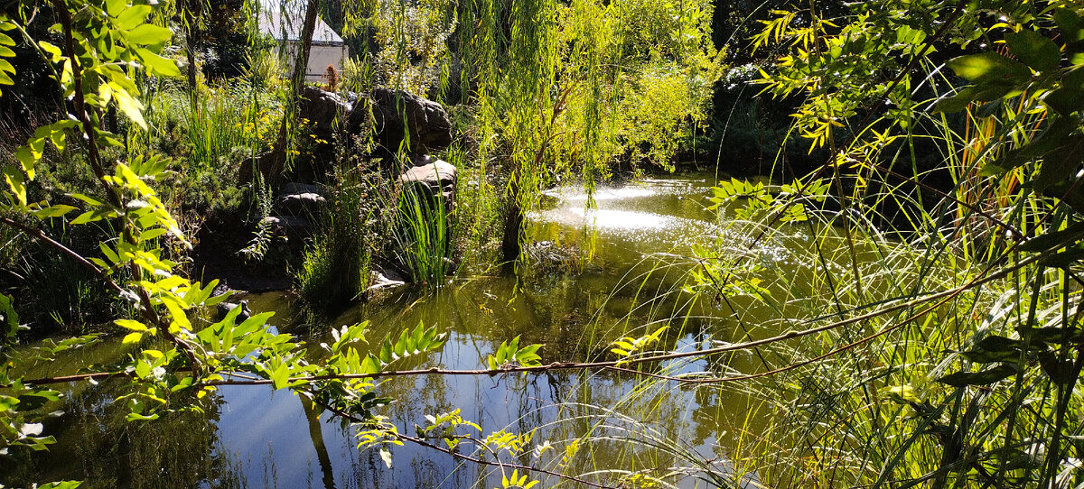 Фото автора канала