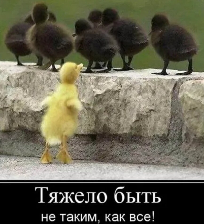 ....просто нужно помнить что мы люди а не звери...