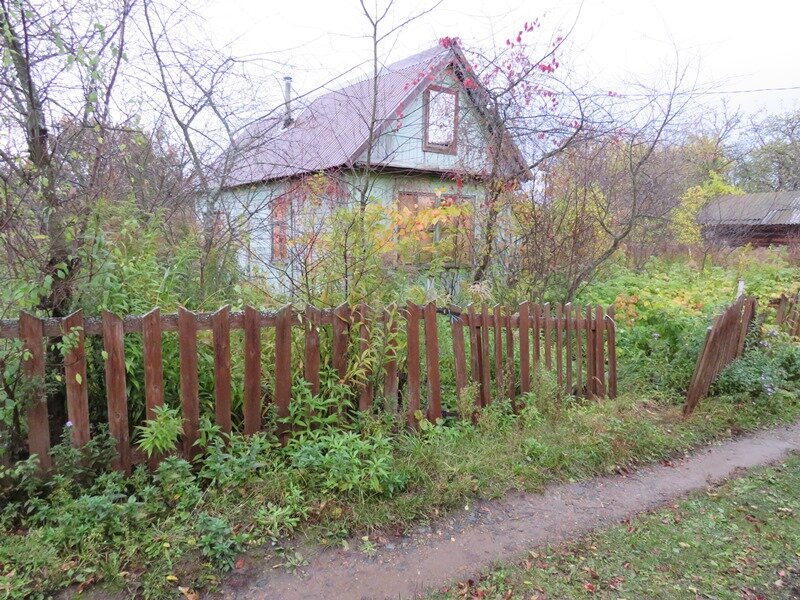    Торжественные мероприятия в День народного единства пройдут в центре Нижнего Новгорода Юлия Максимова