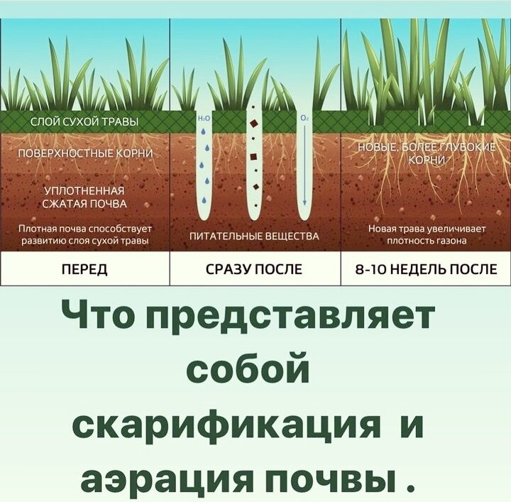 Аэратор для газона – зачем, когда, как использовать и нужен ли он Вашему газону