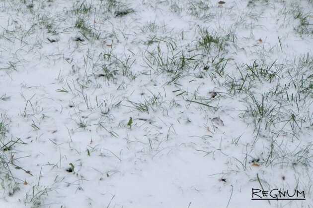    Снег Наталья Стрельцова © ИА REGNUM