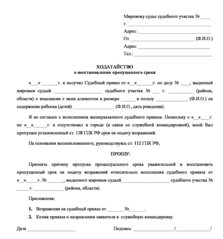 Решение суда: что писать в возражении при отмене судебного приказа. |  Полезный блог №1 для Должника. | Дзен