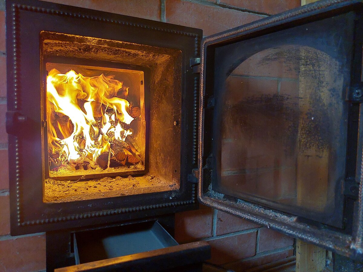        НЕВСКИЕ НОВОСТИ | Зоя Черничная