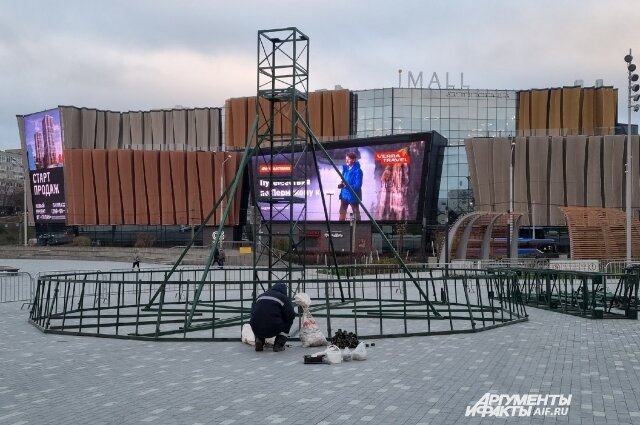    Фото:  АиФ/ Анна Якурнова