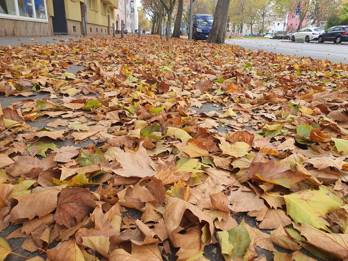 Эх! Был бы я ежик... или они не по этой части?)