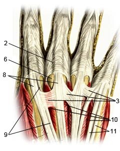Фото из открытого источника