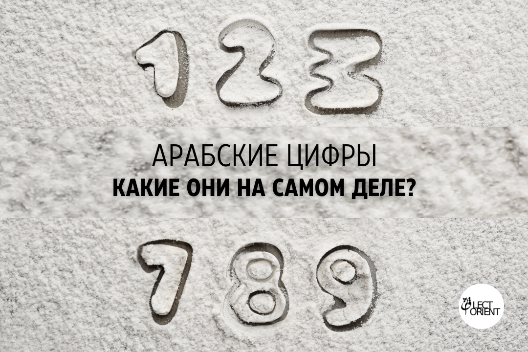 Фото взято из открытого стока Canva