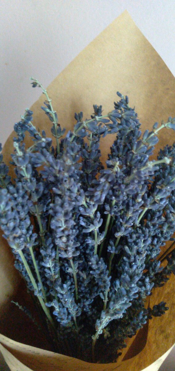 Иногда на просторах моей квартиры находят приют и сухие букетики. Лаванда ещё к тому же прекрасно пахнет. 