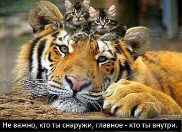 Равнодушие – это паралич души, преждевременная смерть А. П. Чехов
