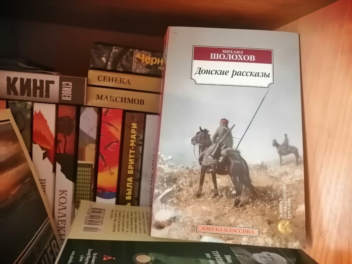 "Донские рассказы" Шолохов