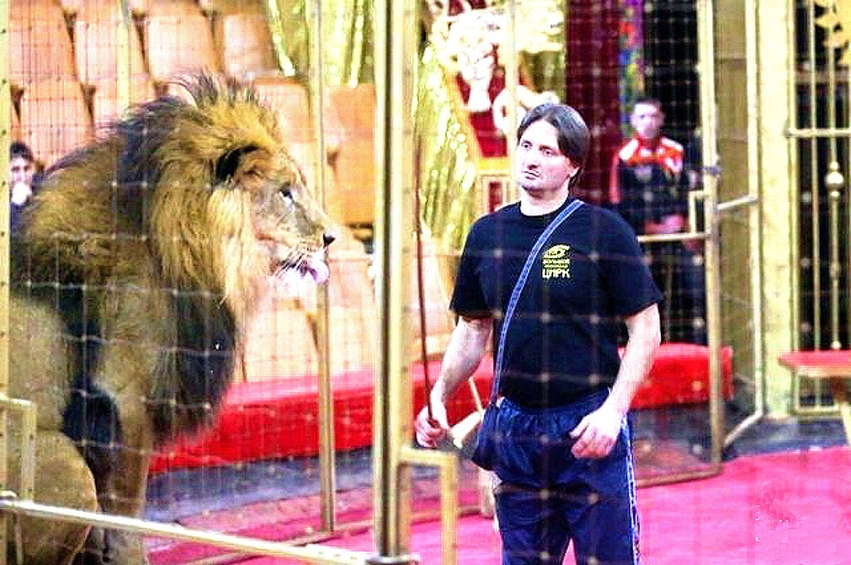 Эдгард запашный с тиграми. Эдгард запашный. Цирк на вернадского запашные. Садко братьев запашных. Запашный напал тигр 2022.