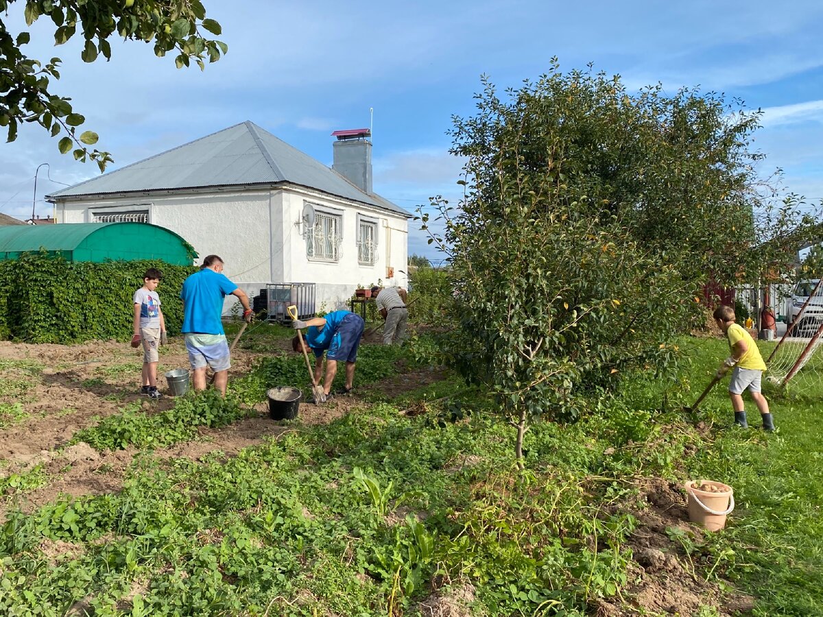 Где  стоит зеленая беседка должен был быть выход из дома на открытую веранду- патио.