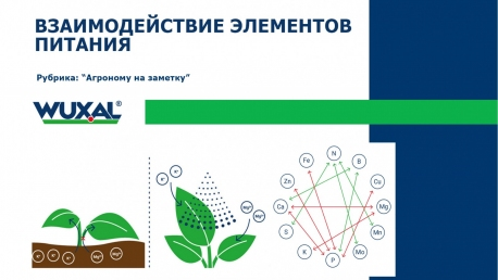 Взаимодействие элементов. Схема Малдера взаимосвязь элементов питания.