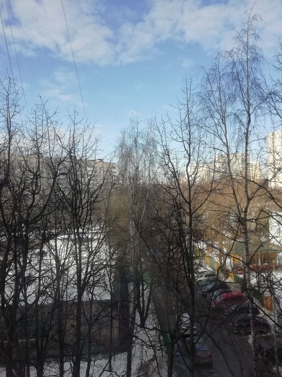 Вид из окна (этот вид будет часто демонстрироваться) 