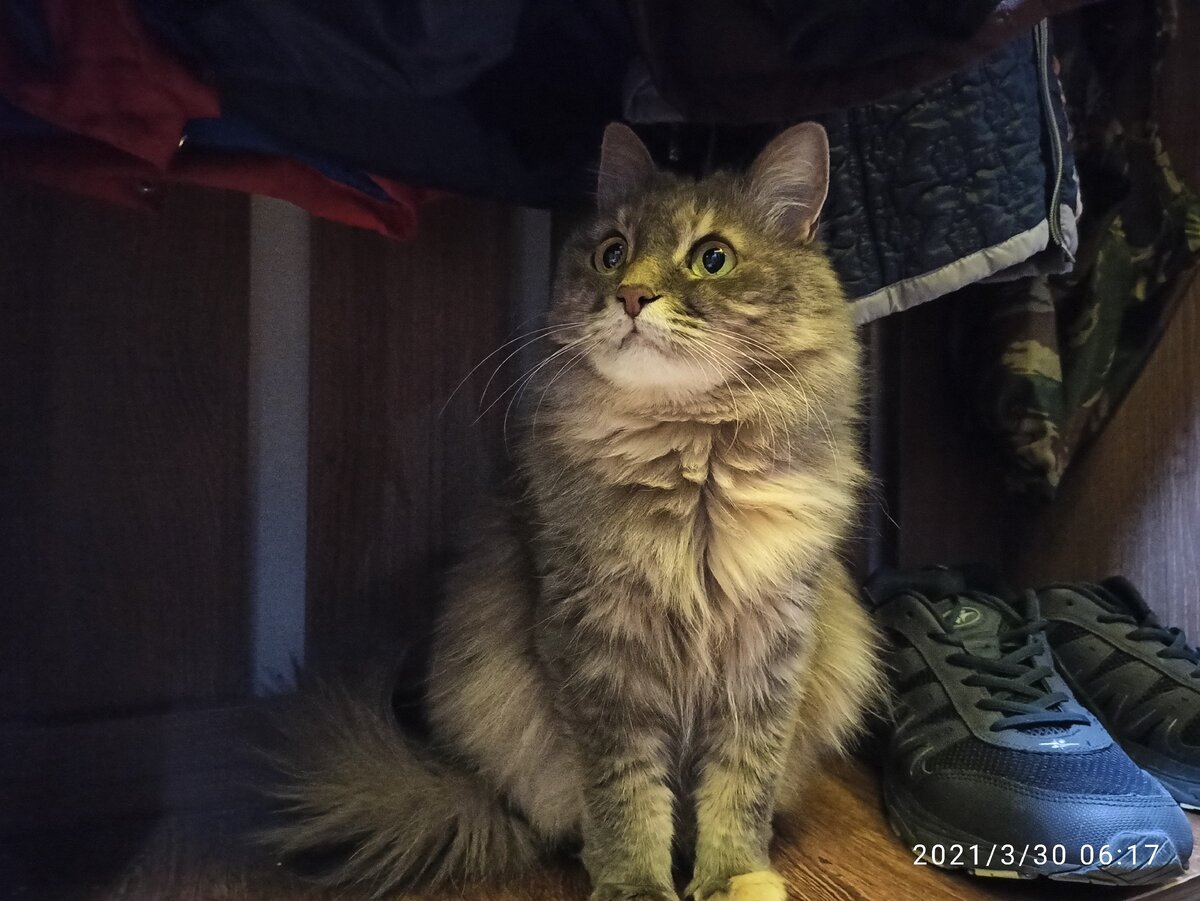 Маняха в прихожей провожает нас на прогулку