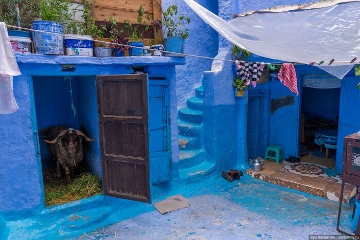 Марокко  фото Варламов