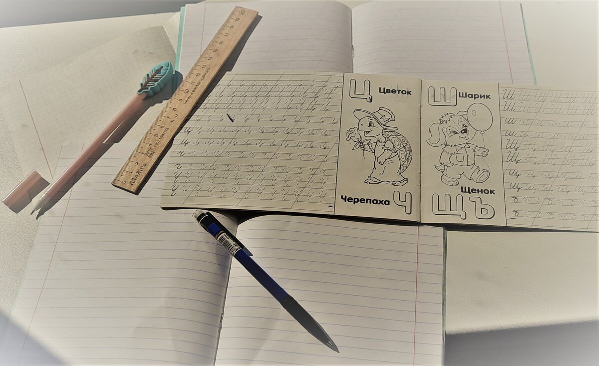 Тетради с вертикальными косыми чертами, сейчас мы называем "Прописи".