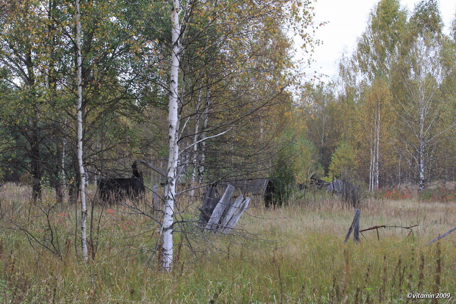 Курша. Поселок Курша 2. Поселок Курша 2 Рязанская область. Курша 2 город призрак. Курша Рязанская область.